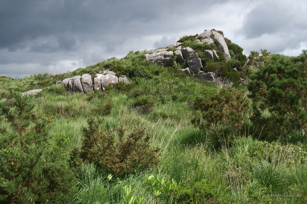 IMG 0234 - Glenveagh