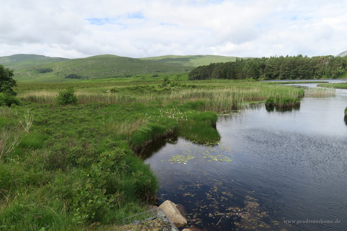 IMG 0243 - Glenveagh