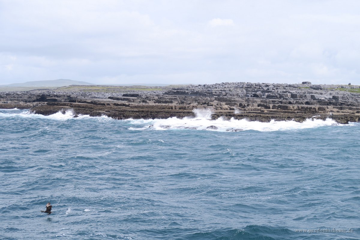 IMG 0403 - Cliffs of Moher