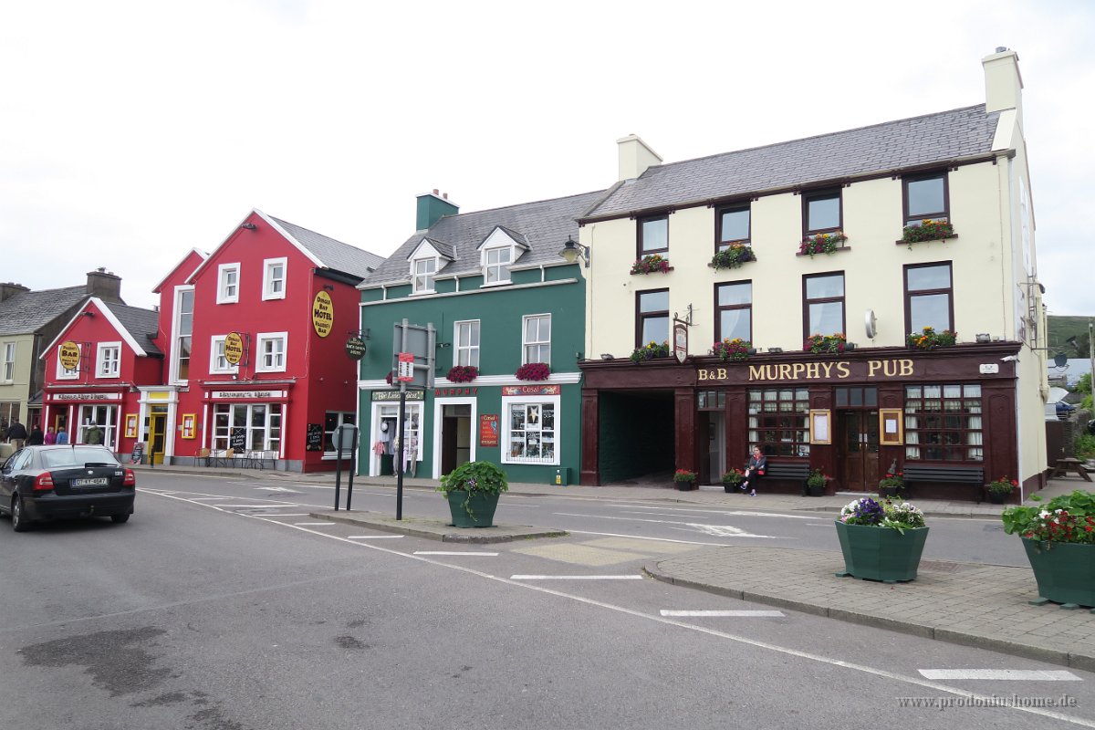 IMG 0436 - Dingle