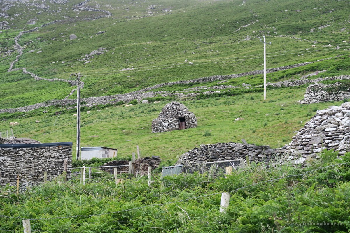 IMG 0453 - Weg von Dingle nach Waymont