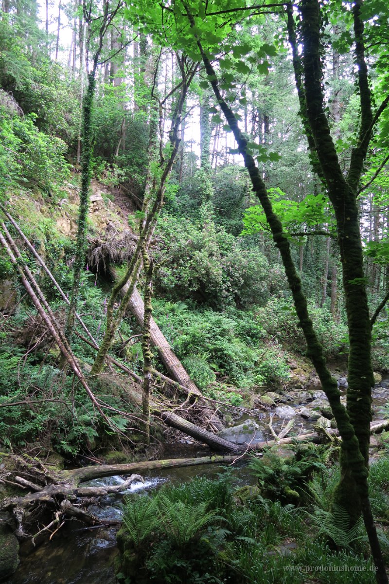 IMG 0535 - Torc Waterfall