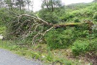 IMG 0230 - Glenveagh