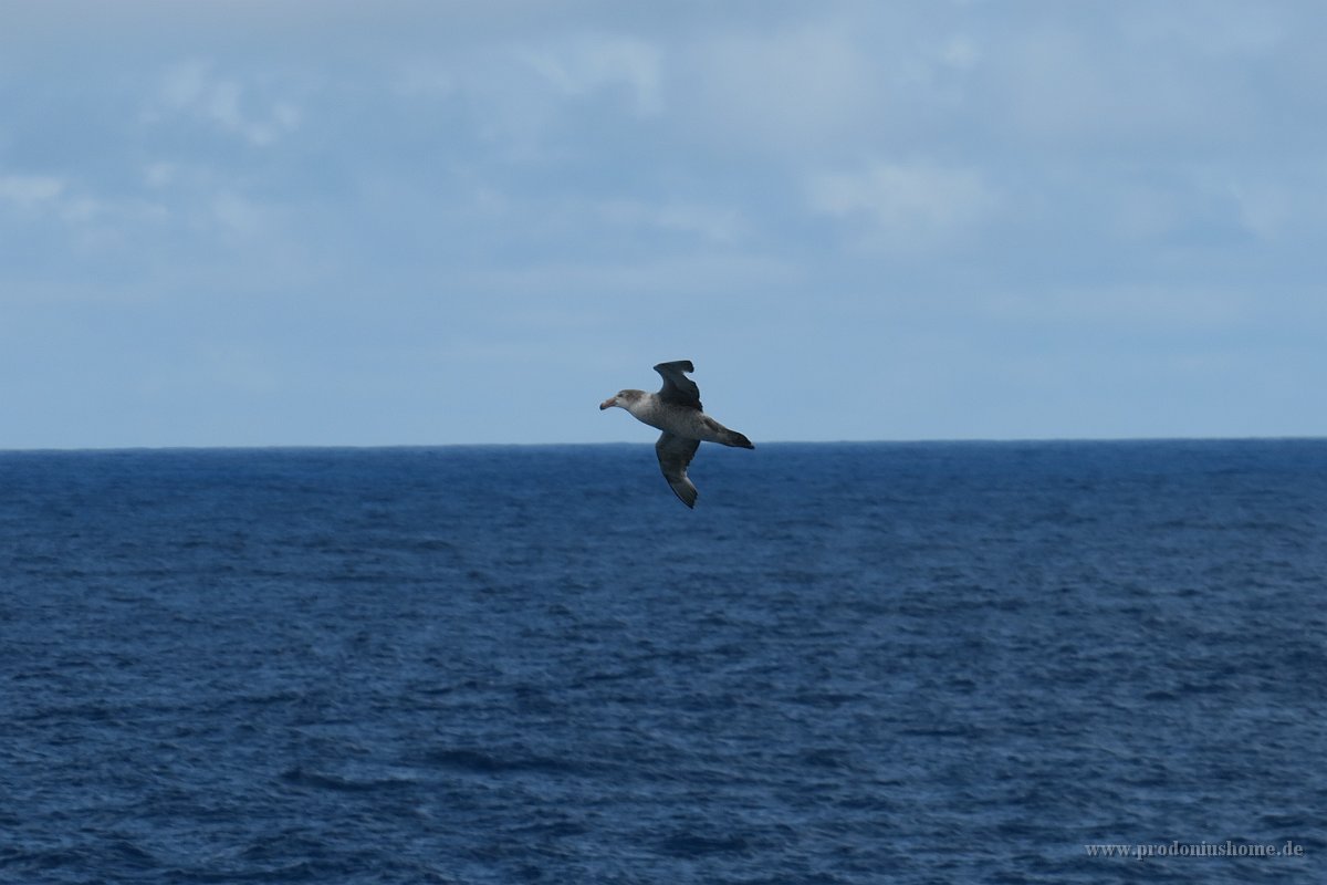 113 G3X IMG 2882 - Auf dem Weg nach Half Moon Island