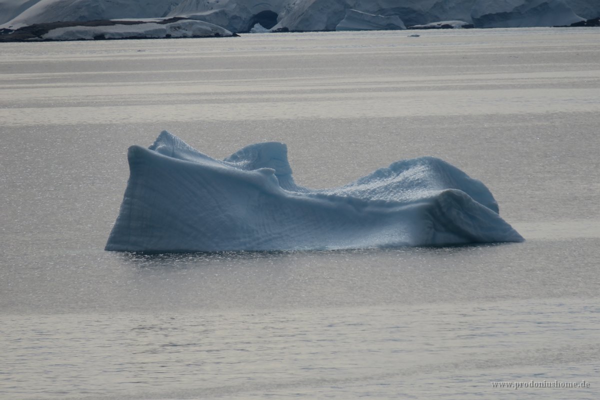 195 G3X IMG 3917 - Wilhelmina Bay