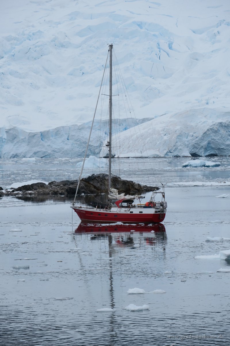 239 G3X IMG 4406 - Cuverville Island - Port Lockroy