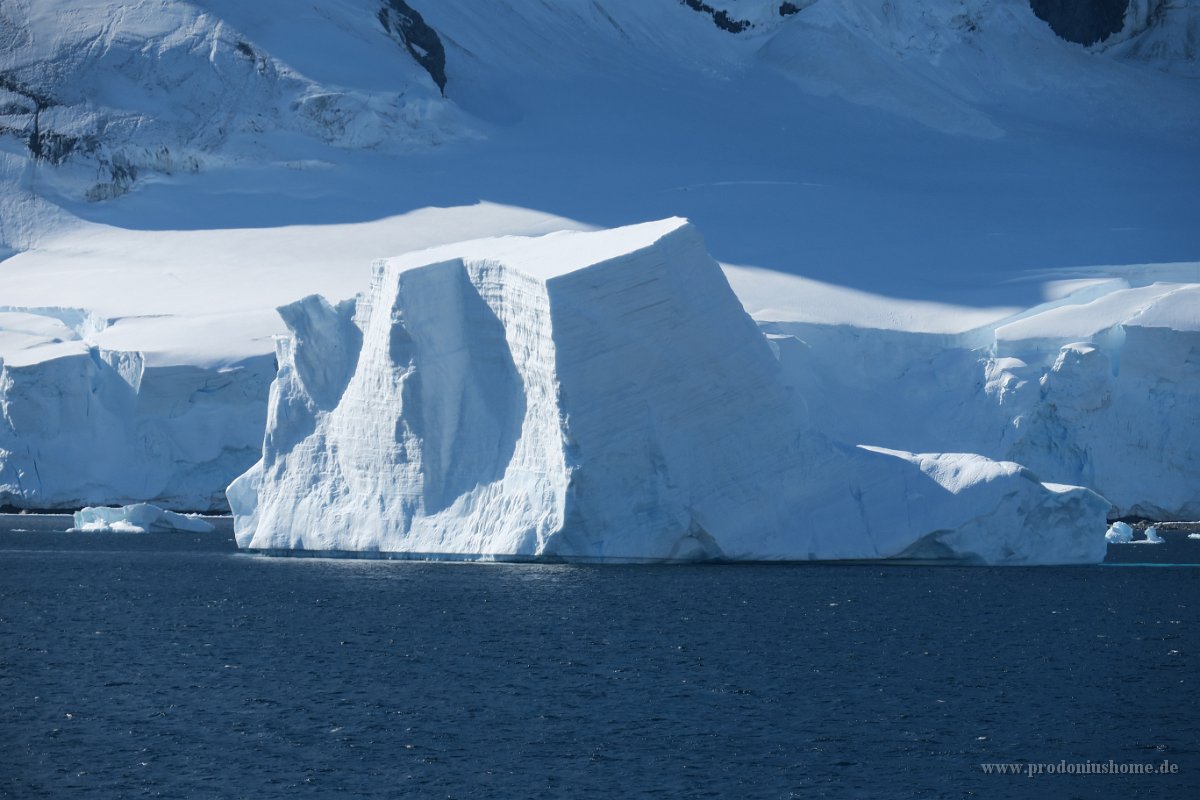 290 G3X IMG 5046 - Damoy Point