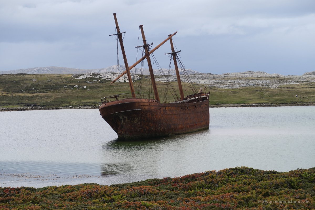 319 G5X IMG 2376 - Falkland Inseln Stanley