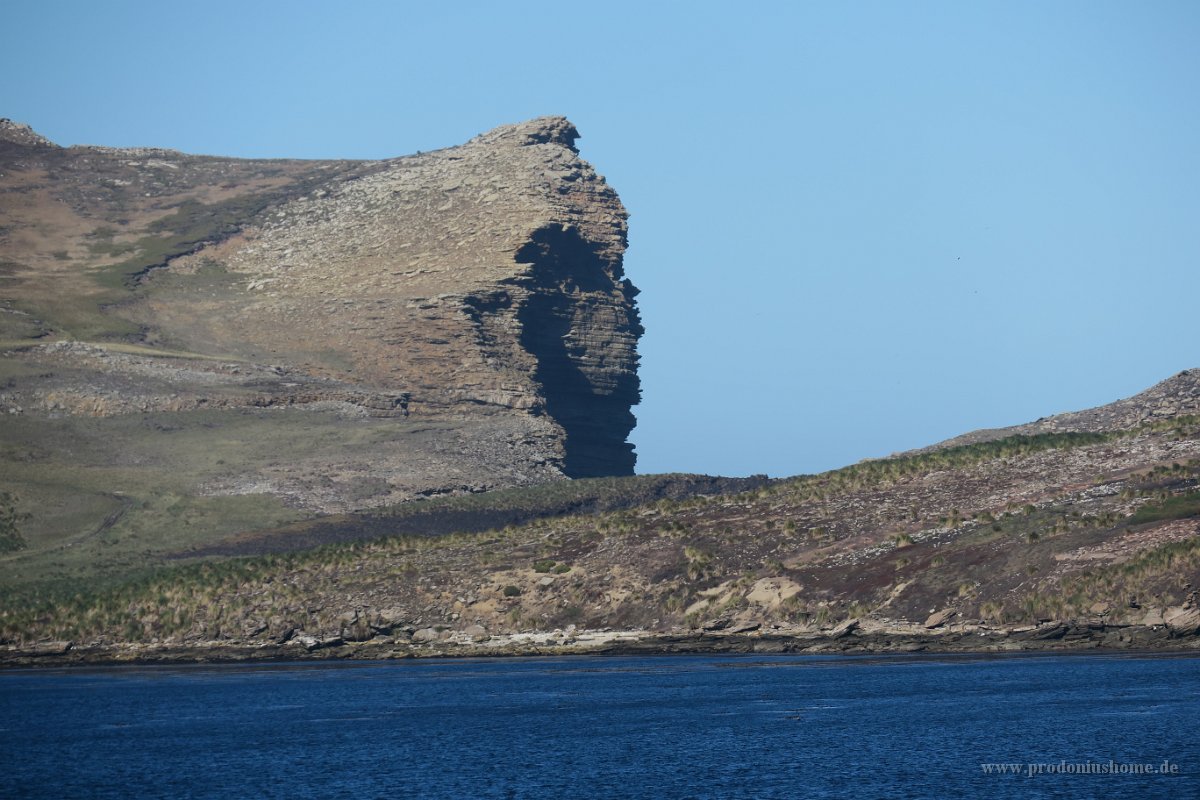 320 G3X IMG 5241 - Falkland Inseln - New Island