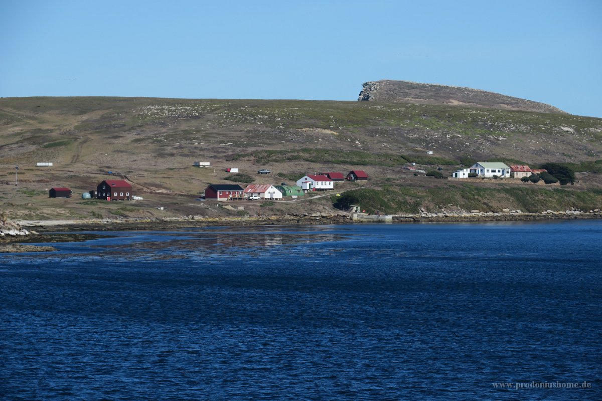 321 G3X IMG 5244 - Falkland Inseln - New Island