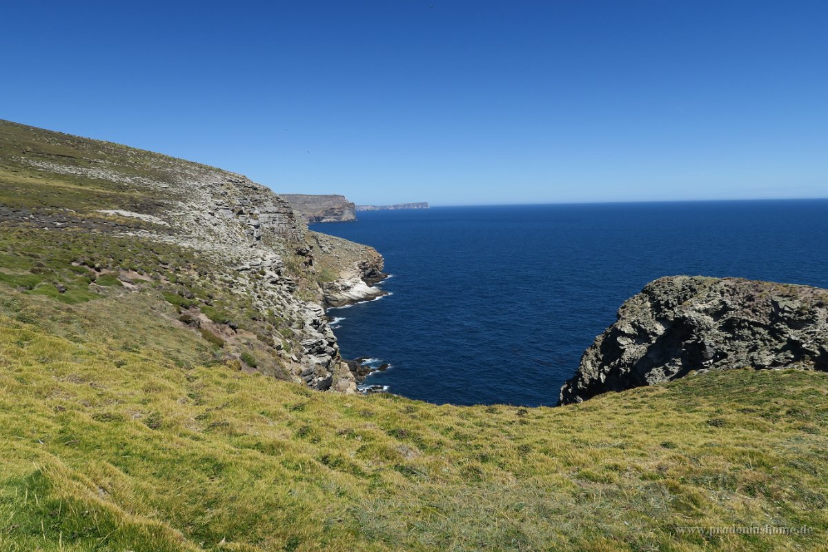 359 G5X IMG 2409 - Falkland Inseln - New Island