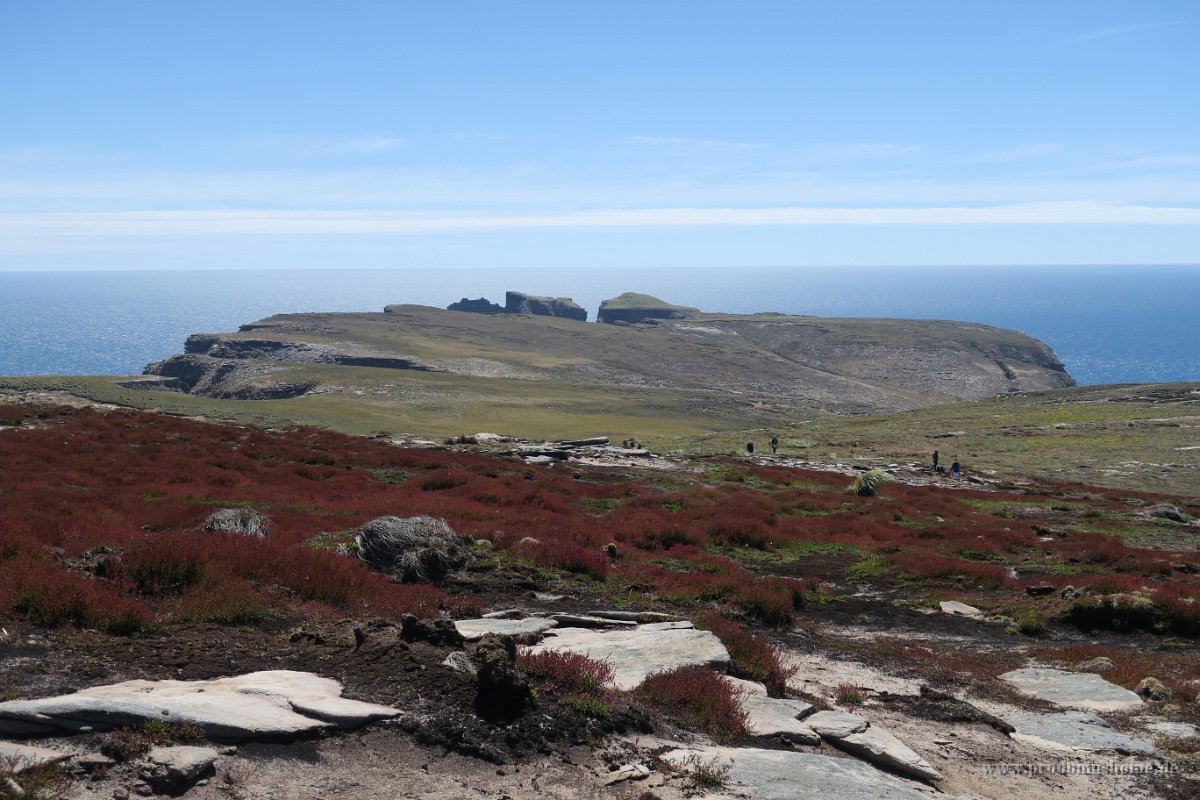 360 G5X IMG 2414 - Falkland Inseln - New Island