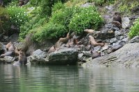 058 G3X IMG 0326 - Garibaldi Fjord