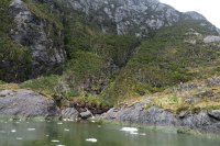 062a_G5X_IMG_1554 - Garibaldi Fjord.JPG