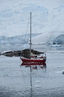 239_G3X_IMG_4406 - Cuverville Island - Port Lockroy.JPG