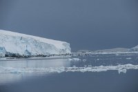 253_G3X_IMG_4611 - Cuverville Island - Port Lockroy.JPG