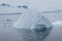 255 G3X IMG 4620 - Cuverville Island - Port Lockroy