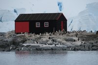 259 G3X IMG 4649 - Cuverville Island - Port Lockroy