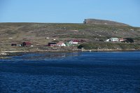 321 G3X IMG 5244 - Falkland Inseln - New Island