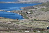 348_G3X_IMG_5763 - Falkland Inseln - New Island.JPG