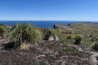 351 G5X IMG 2402 - Falkland Inseln - New Island