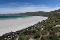 375_G5X_IMG_2440 - Falkland Inseln - Carcass Island.JPG