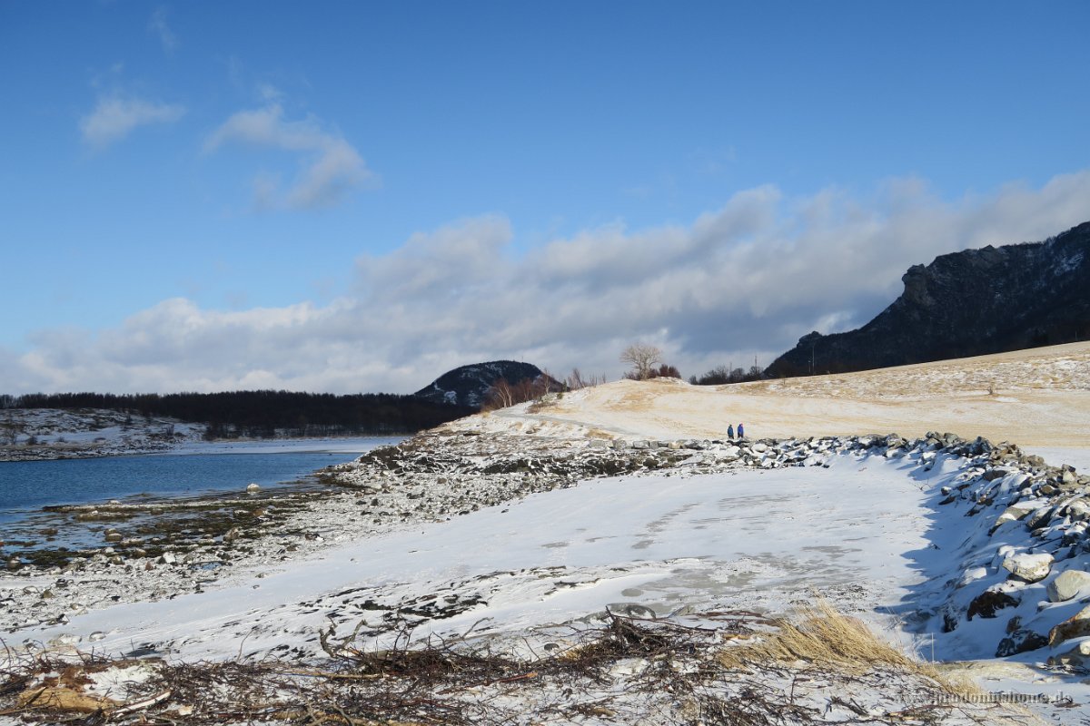 IMG 2798 - Bodø - Arktische Küstenwanderung