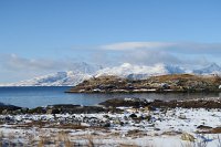 IMG 2812 - Bodø - Arktische Küstenwanderung