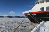 IMG_3378 - Kirkenes - MS Trollfjord.JPG