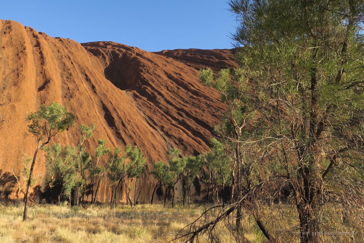 IMG 4359 - Uluru