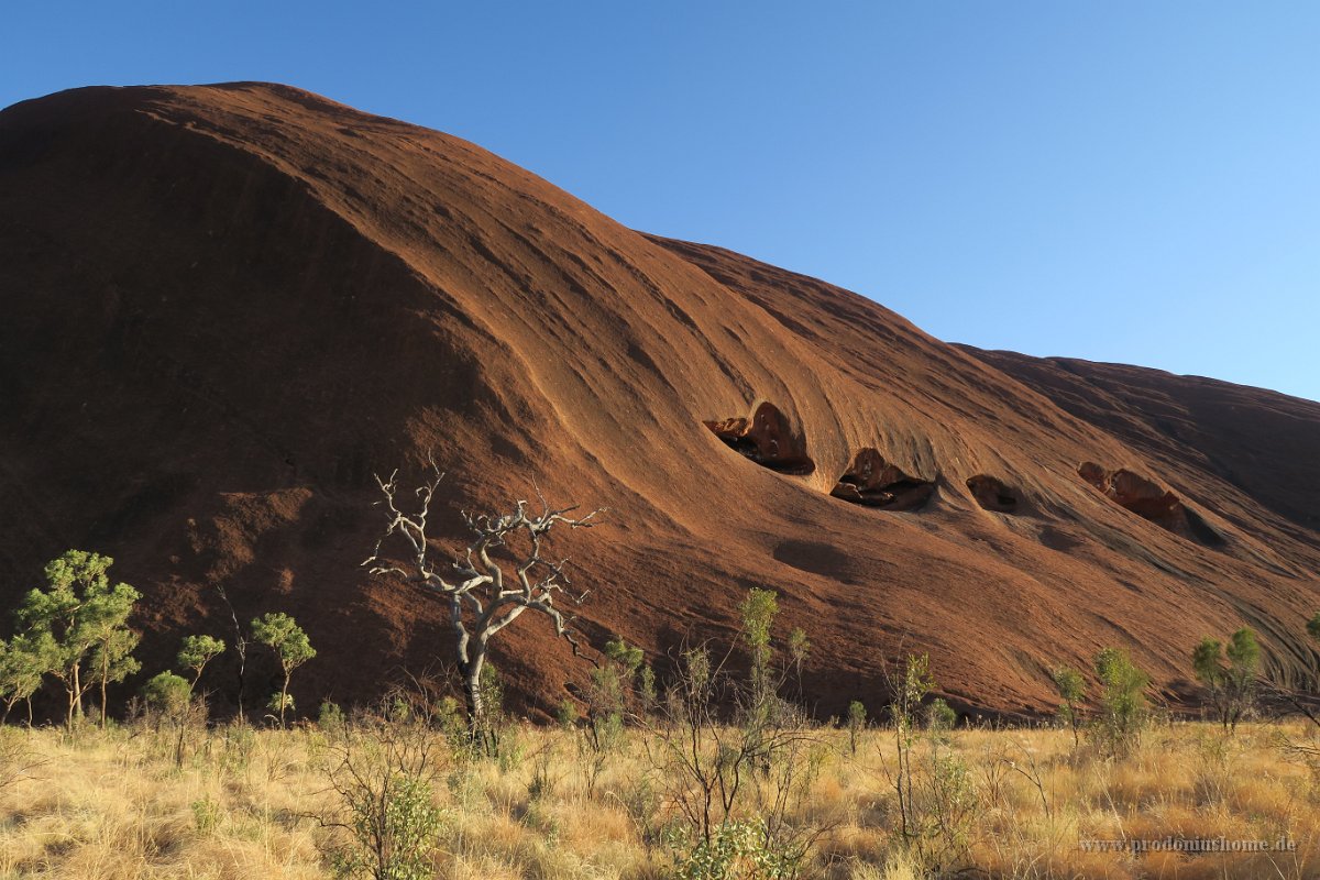 IMG 4363 - Uluru