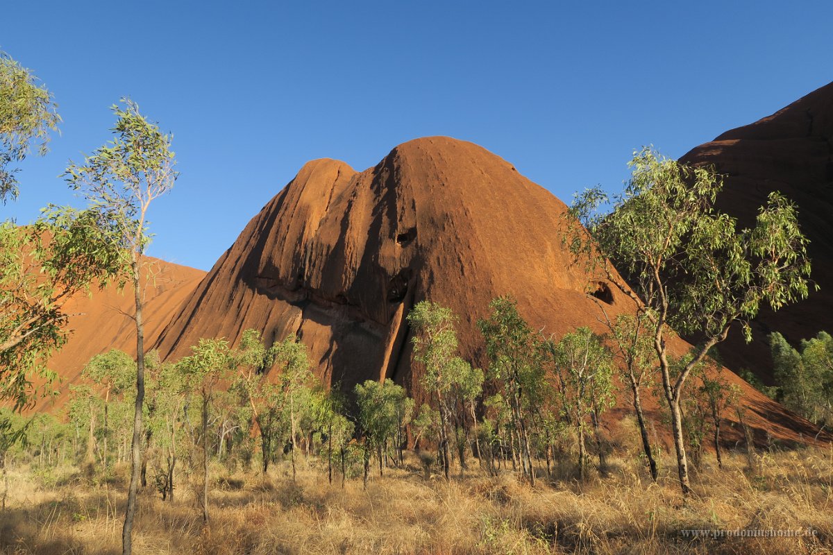 IMG 4366 - Uluru