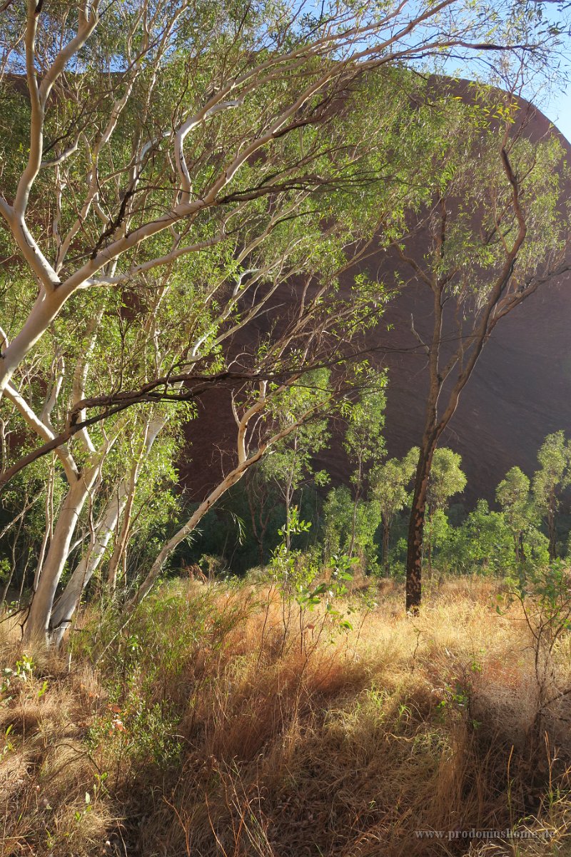 IMG 4378 - Uluru