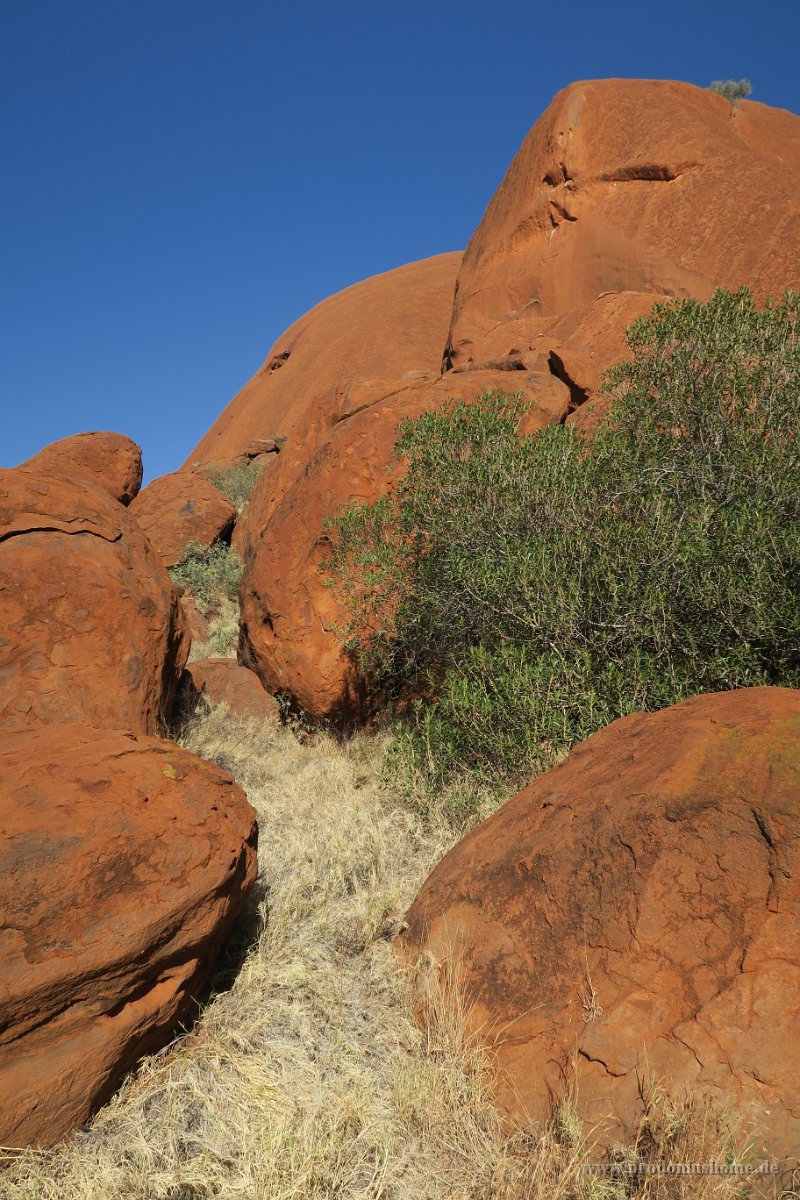 IMG 4395 - Uluru