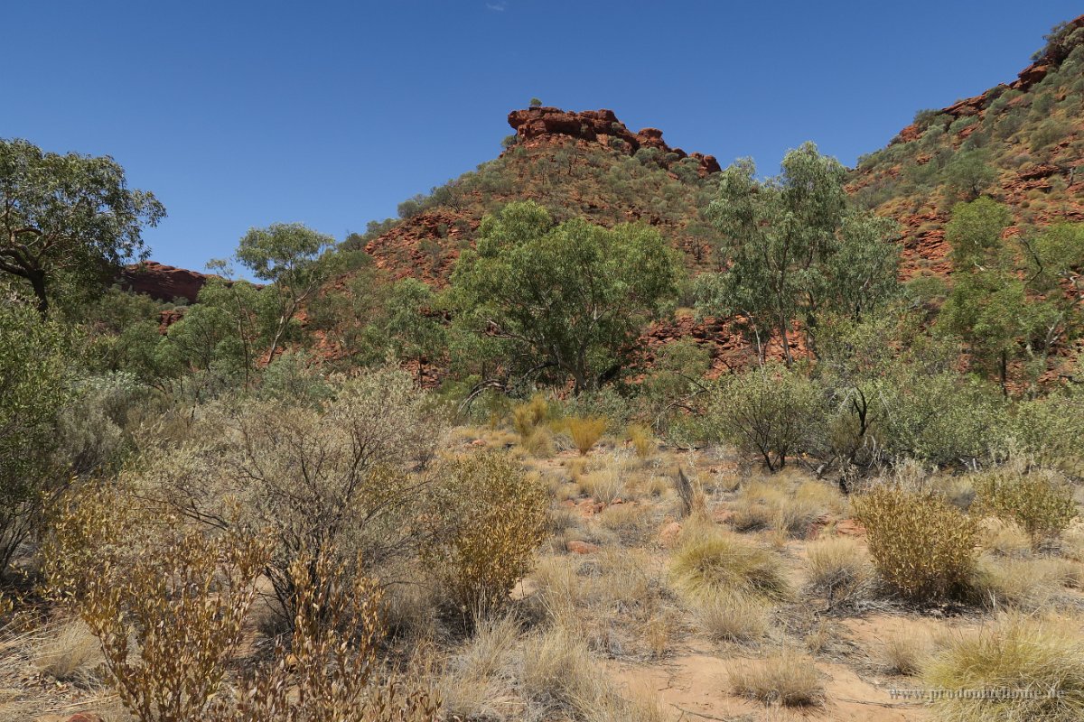 IMG 4486 - Kings Canyon