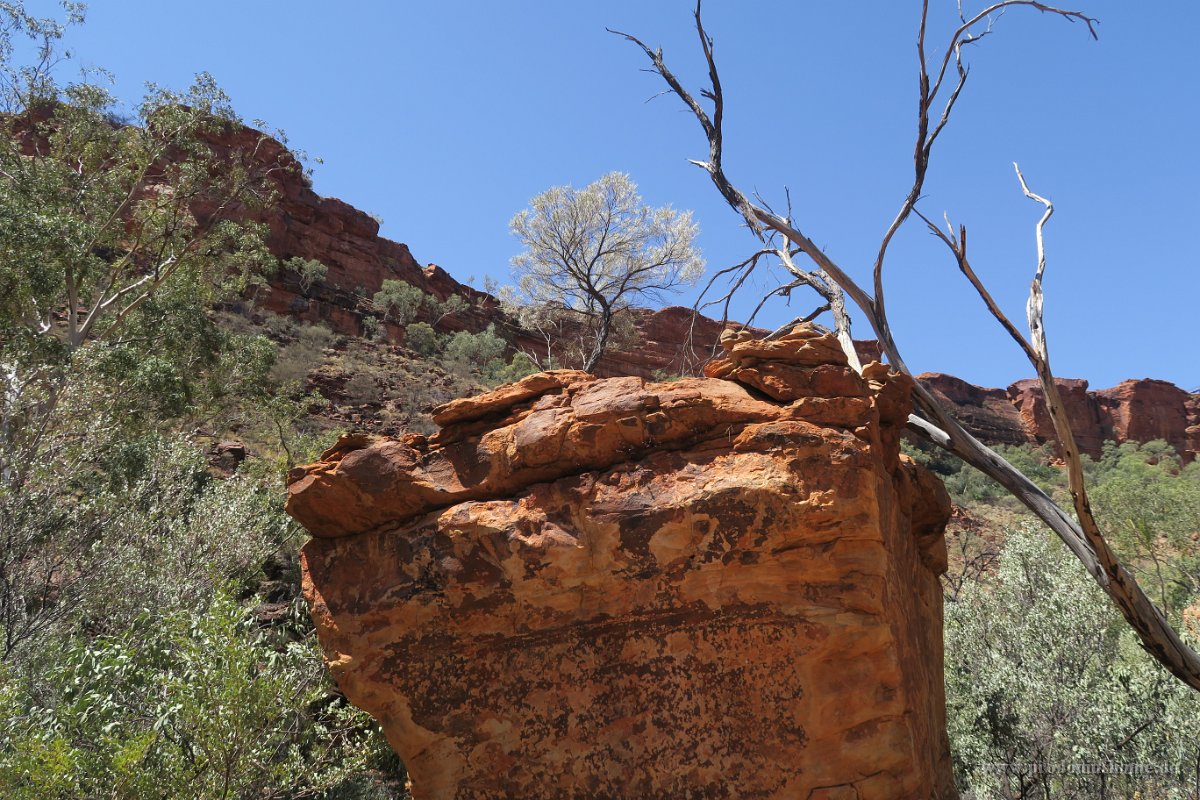 IMG 4494 - Kings Canyon