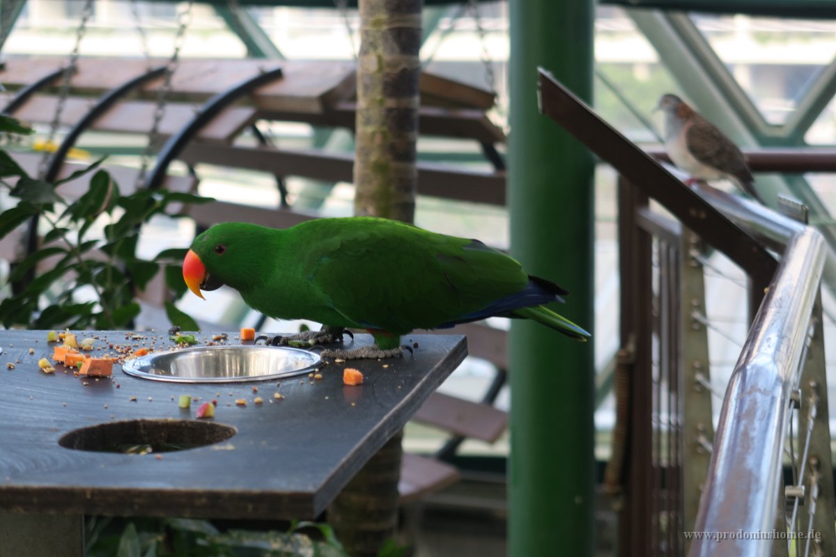 IMG 4665 - Cairns - Zoom Dome