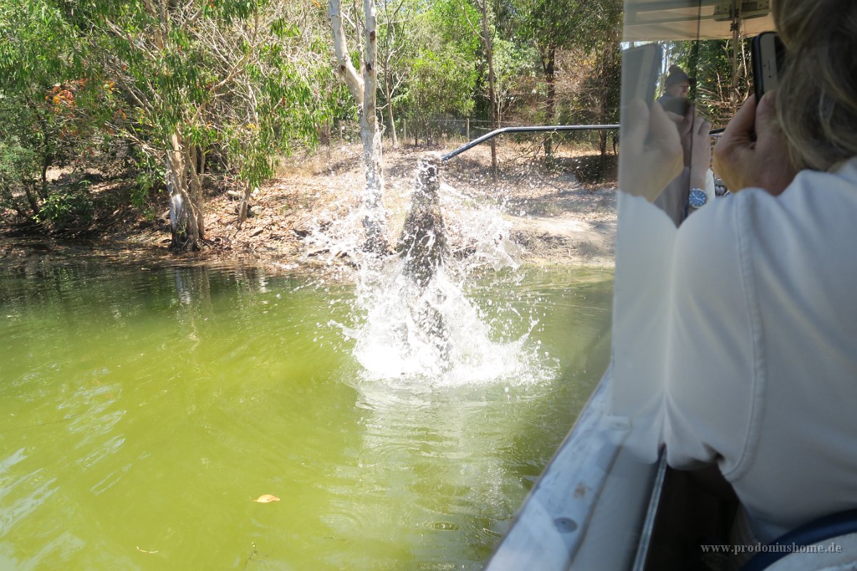 IMG 4792 - Cairns Hartley's Crocodile Farm