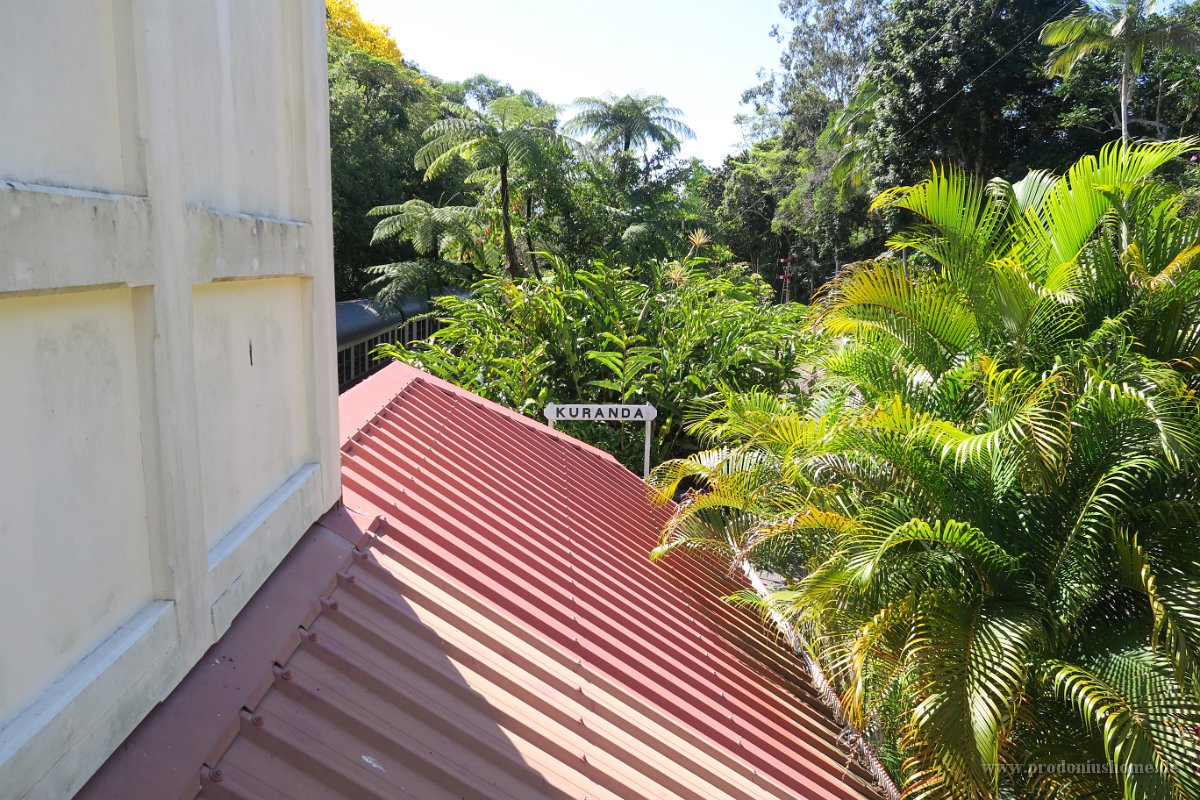 IMG 4870 - Kuranda Railway