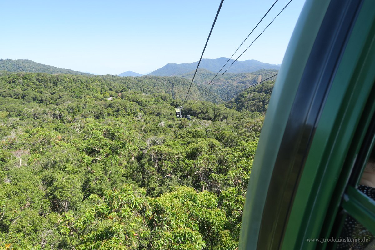 IMG 4882 - Kuranda Skyrail