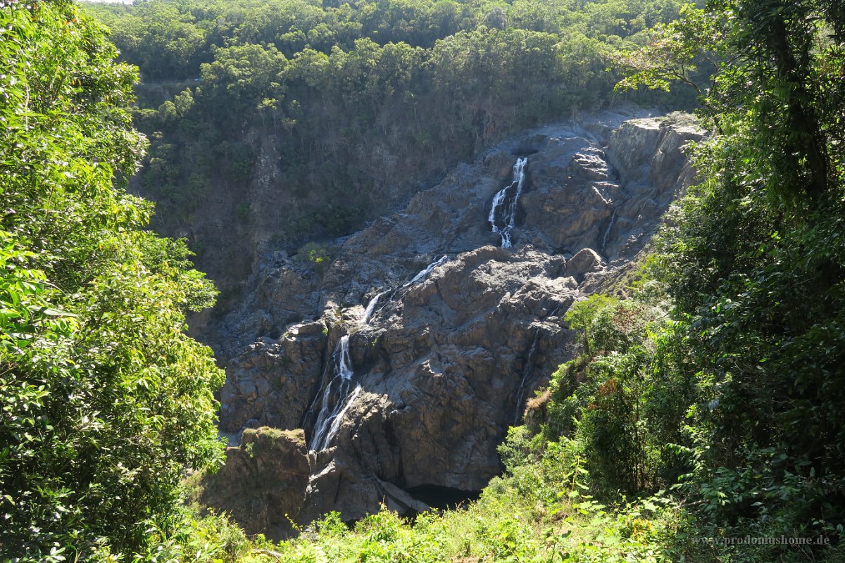 IMG 4888 - Kuranda Skyrail