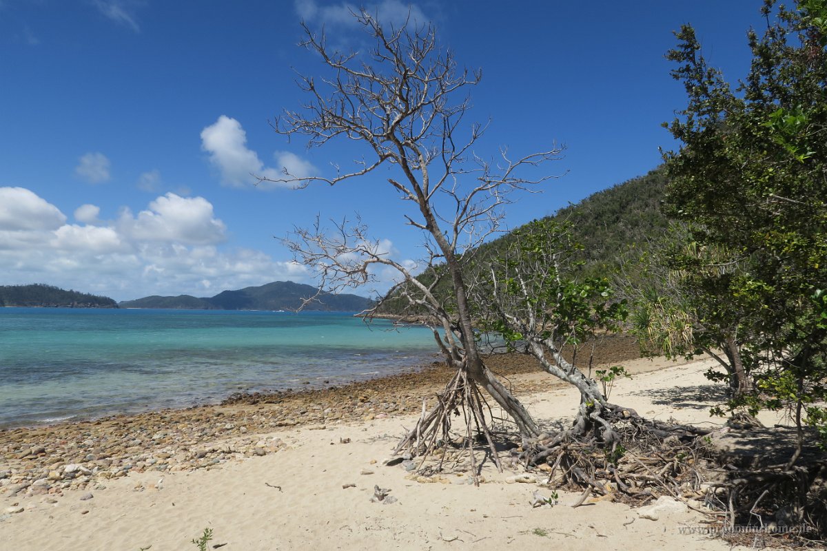 IMG 5284 - Hamilton Island