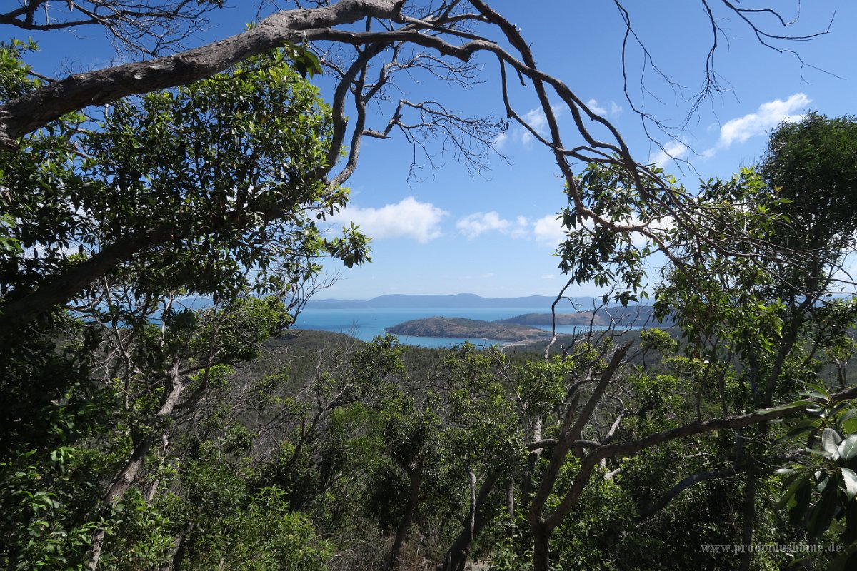 IMG 5289 - Hamilton Island