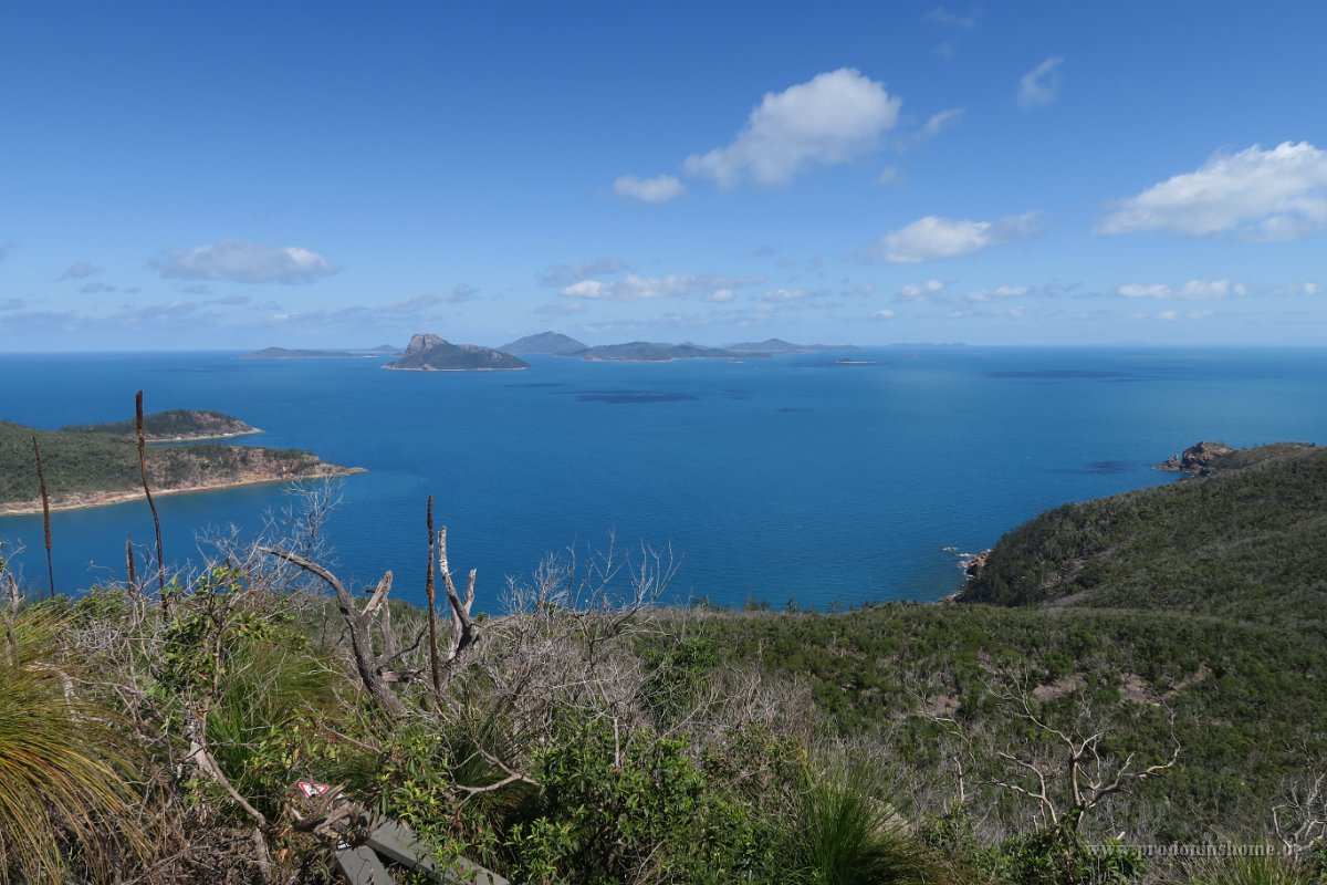 IMG 5294 - Hamilton Island