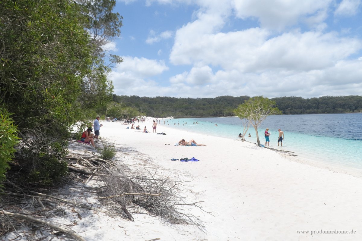 IMG 5341a - Fraser Island