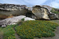 IMG_4078 - Sydney Bondi Beach.JPG