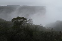 IMG 4186 - Blue Mountains