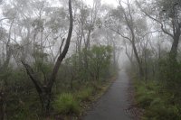 IMG 4187 - Blue Mountains