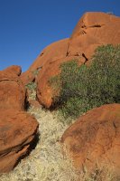 IMG 4395 - Uluru