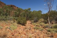 IMG_4485 - Kings Canyon .JPG